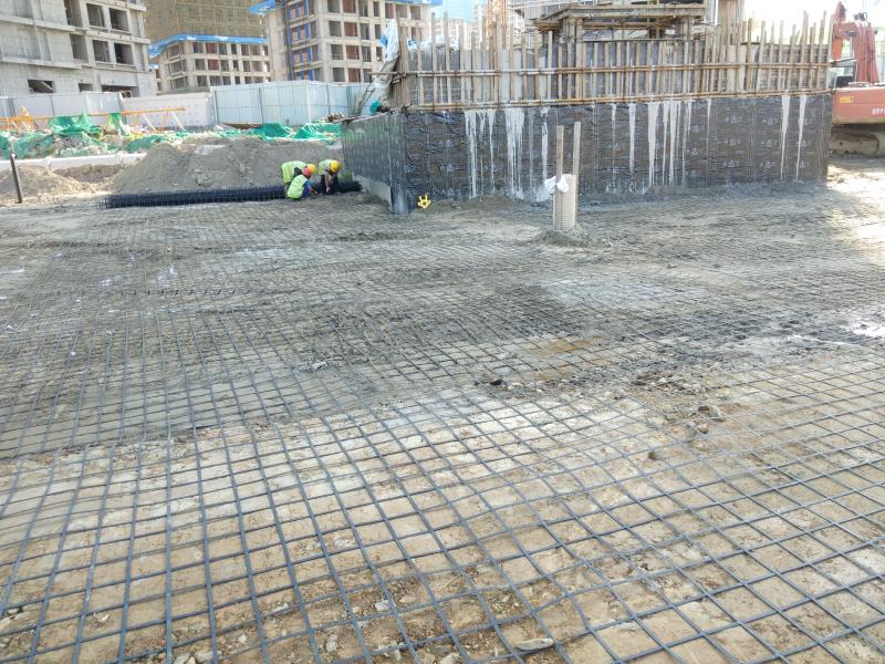 鋼塑格柵的應(yīng)用特點